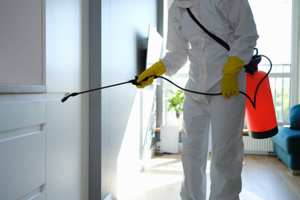 Best Home Mold Removal  in Greenacres, FL