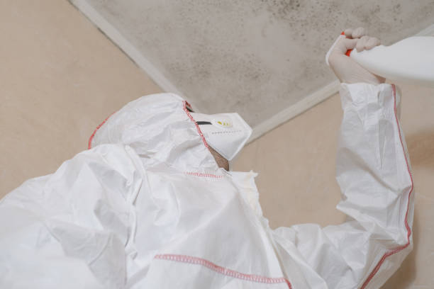 Best Crawl Space Mold Removal  in Greenacres, FL