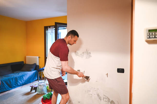Greenacres, FL Mold Removal Company