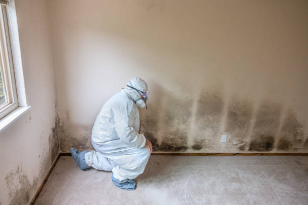 Best Residential Mold Removal  in Greenacres, FL